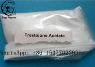 CAS 6157-87-5 Trenbolone Steroid Powder Trestolone Acetate MENT Increase Lean Muscles