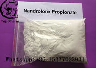 7207-92-3 Nandrolone Steroid Powder Nandrolone Propionate For Building Body