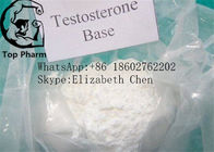 Testosterone Base Raw Testosterone Powder CAS 58-22-0 98% Purity white powder bodybuilding