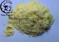 Tren Ace Fat Loss / Build Muscle Steroids Trenbolone Acetate CAS 10161-34-9  White powder  99%purity
