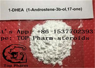 99% DHEA/Androsterone/1-Dehydroepiandrosterone  Raw Testosterone Powder  CAS 53-41-8  Body building