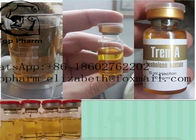 Trenbolone Acetate Steroids Oil For Muscle Mass Gains CAS 10161-34-9 Purity 99.99% Yellow Liquid Steroid