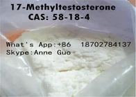 CAS 58-18-4 17 Alpha Methyltestosterone Muscle Gain White Color