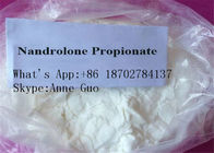 CAS  7207-92-3 Nandrolone Propionate High Purity Anabolic Steroid Injectable Muscle Growth White Crystalline Powder