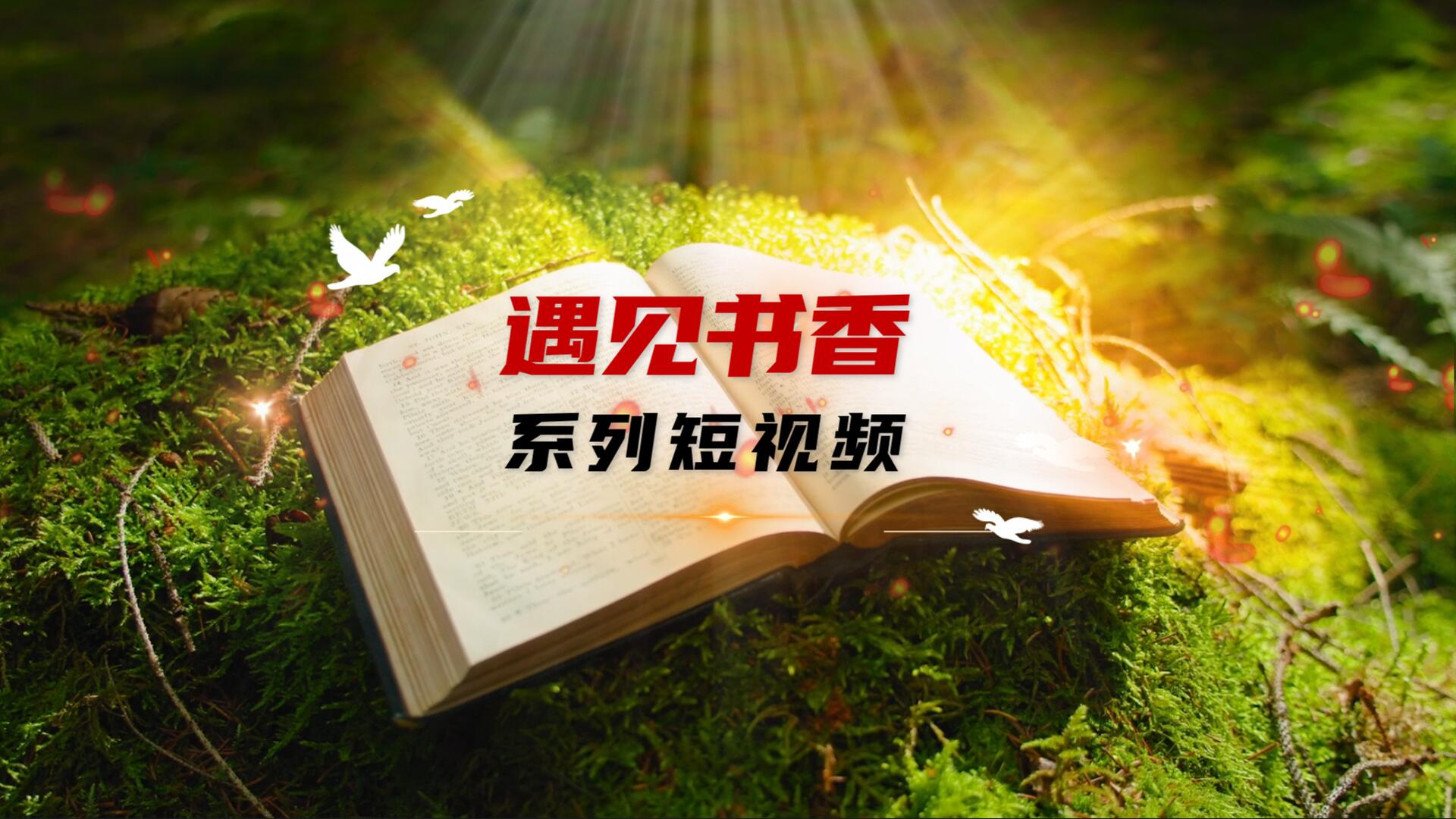 读者培训
