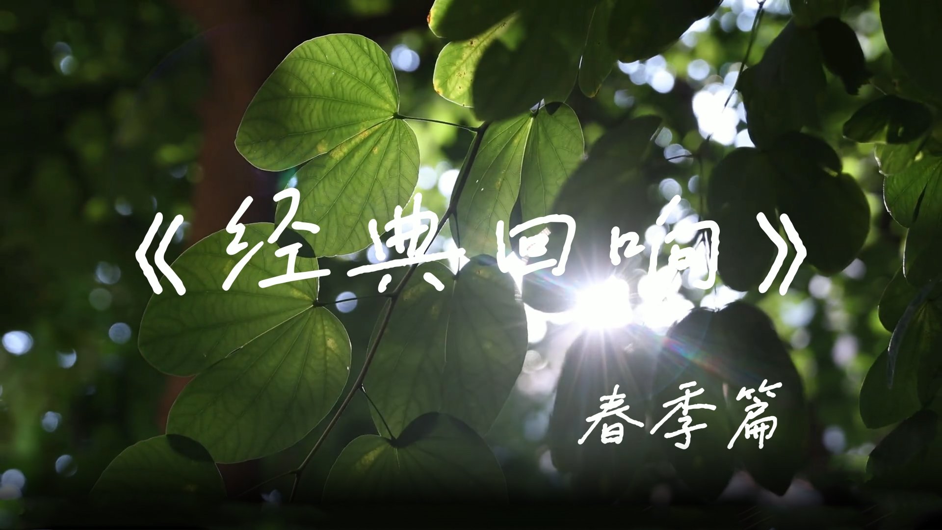 我的图书馆
