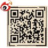 公开信息按发布时间滚动