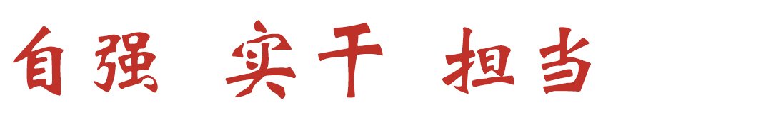 columns / 数智石院 / 网