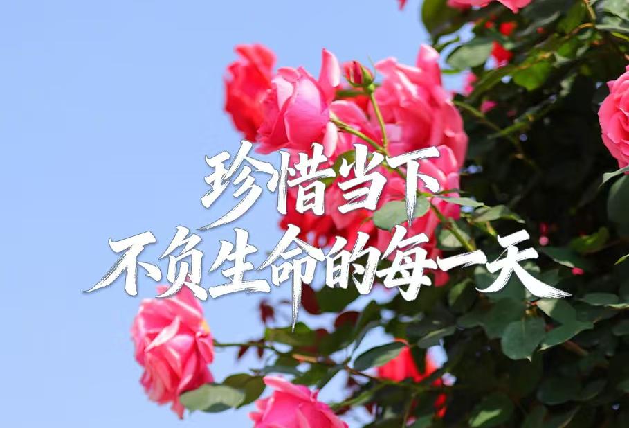 列表适合快速定位