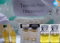 99% Purity Decanoate Raw Testosterone Powder 5721-91-5 For Body Building