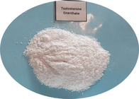 TE Testosterone Enanthate Raw Testosterone Powder Medical Conditions CAS 315-37-7