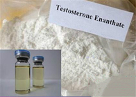 TE Testosterone Enanthate Raw Testosterone Powder Medical Conditions CAS 315-37-7