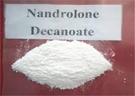 99% Purity Nandrolone Decanoate Steroid Powder CAS360-70-3For Muscle Gains