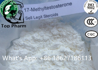 99% purity 17-Alpha-Methyl CAS 58-18-4  Powder Improve physical strength of remote mobilization