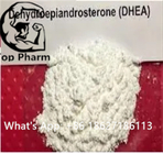 99% purity DHEA CAS 53-41-8 Powder Treatment of skin aging, depression, muscle strength, heart disease, erectile dysfunc