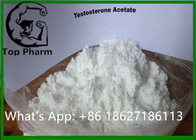 Bodybuilding Acetate Raw Testosterone Powder CAS 1045-69-8 Drug Enforcement Agency