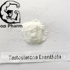 Pharmaceutical Testosterone Enanthate Androgens Anabolic Steroids Powder