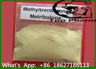 Bodybuilding Methyl Trenbolone 99% Purity CAS 965-93-5