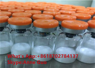 Building Muscle Growth Hormone Peptide Lysipressin Acetate Powder CAS 50-57-7