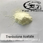 CAS 5630-53-5 Bodybuilding Androgenic Estrogenic Progestogenic 99% Purity Trenbolone Acetate