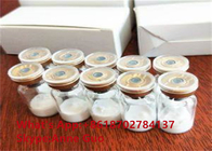 CAS 32780-32-8 PT-141 Peptides Supplements Bodybuilding High Purity White Powder