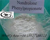 CAS 62-90-8 Nandrolone Phenylpropionate Body Building Powder For Performance Enhancement