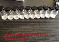 CAS 77591-33-4 Thymosin Β4 Acetate Body Building Peptides For Muscle Growth