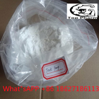 99% purity Testosterone Propionate CAS 57-85-2 white powder Increase strength and sexual desire, strengthen muscles