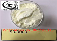 99% Purity SR-9009 CAS 1379686-30-2 White Powder Sarms Workout Supplement