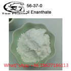 CAS 4956-37-0 99% Purity Estradiol Enanthate Powder Estrogen Receptors Agonist