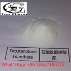 99% Purity Masteron Enanthate CAS 472-61-145 White powder injectable steroid  Female Use