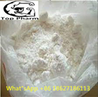 99% Purity 1-DHEA CAS  23633-63-8 White powder build muscle  androgenic sex hormones