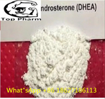 99% Purity 1-DHEA CAS  23633-63-8 White powder build muscle  androgenic sex hormones