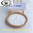 99% Purity 4-DHEA CAS  63-05-8 White powder Increased muscle mass Reduced body fat  Improved libido