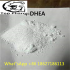 99% Purity 4-DHEA CAS  63-05-8 White powder Increased muscle mass Reduced body fat  Improved libido
