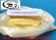 99% Purity 2 , 4-Dinitrophenol CAS 51-28-5   organic compound   It is a yellow, crystalline solid that has a sweet