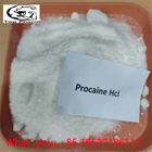 99% Purity Procaine Hydrochloride CAS 51-05-8 White Powder Anaesthetic Synthetic Organic Compounds