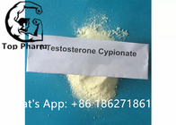 99% Purity 1-Testosterone Cypionate CAS 65-06-5 White Powder Stimulate Prostate, Seminal Vesicle