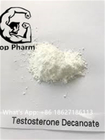 99% Purity Testosterone Decanoate Powder CAS 5721-91-5 Increase Muscle Mass