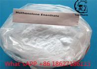 99.5% Purity Methenolone Enanthate White Powder CAS 303-42-4  Increase Sexual Desire And Hair