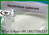 Nandrolone Cypionate 99% Purity CAS 601-63-8  Strengthen Strength And Muscle