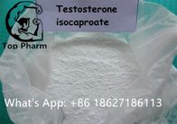99% Purity Testosterone Isocaproate CAS 15262-86-9 White Powder Enhance Muscle Mass