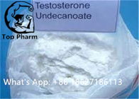 CAS 5949-44-0 Testosterone Undecanoate Powder For Men Low Testosterone Treatment