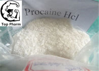 Procaine HCl Local Anesthetic Powder Procaine Hydrochloride CAS 51-05-8