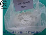 58-22-0 Raw Testosterone Powder 99 High Purity Testosterone Base For Building Muscle