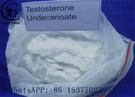 55949-44-0 Raw Testosterone Powder Testosterone Undecanoate For Increasing Strength white powder