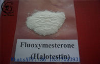 Fluoxymesterone Raw Testosterone Powder Halotestin White Powder 76-43-7 white powder