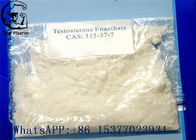 Bodybuilding anabolic steroids Testosterone Enanthate 315-37-7 Test E 99% purity