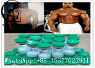 137525-51-0 Body Building Peptides Pentadecapeptide BPC 157 SGS Certification 2mg/vial