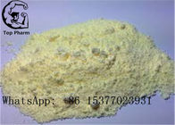 Yellow Powder Tri Trenbolone Raw Hormone Powders Tri Tren For Losing Body Fat